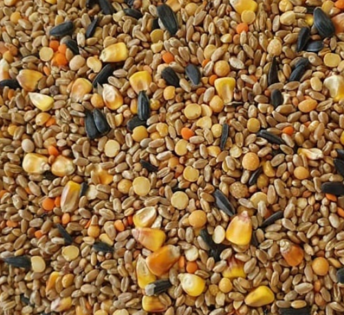 Наш Голубь  профессиональный рацион 25кг