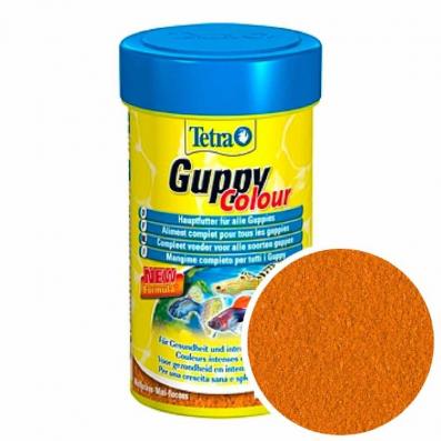 70_1600535304_2020-09-19_20-08-24