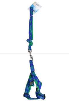 Снимок экрана 2023-08-22 114544