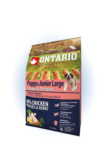 Ontario Puppy&Junior Large Chicken&Potatoes Сухой корм для щенков и молодых собак крупных пород, с курицей и картофелем, 12 кг.