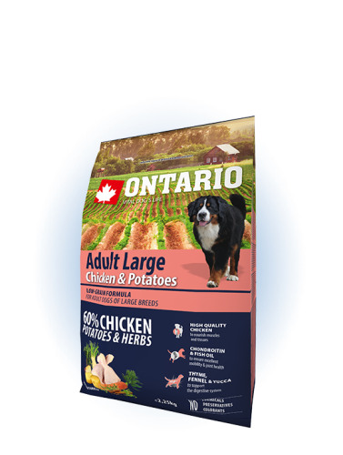 Ontario Adult Large Chicken&Potatoes Сухой корм для взрослых собак крупных пород, с курицей и картофелем, 2.25 кг.