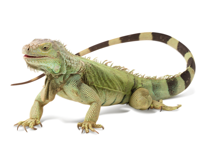 Самый большой ассортимент!