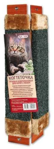 Снимок экрана 2023-11-06 110238