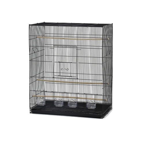 ZHIVOI MIR DAYANG D611