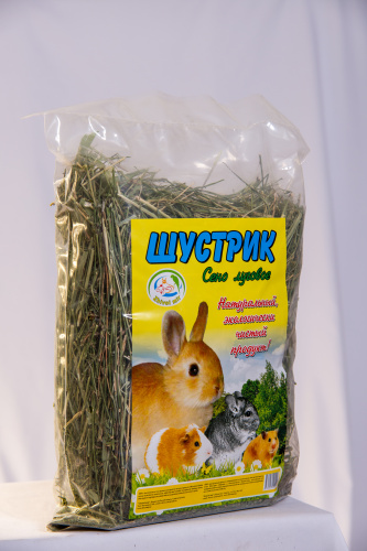 шустрик2_aizekphoto-16