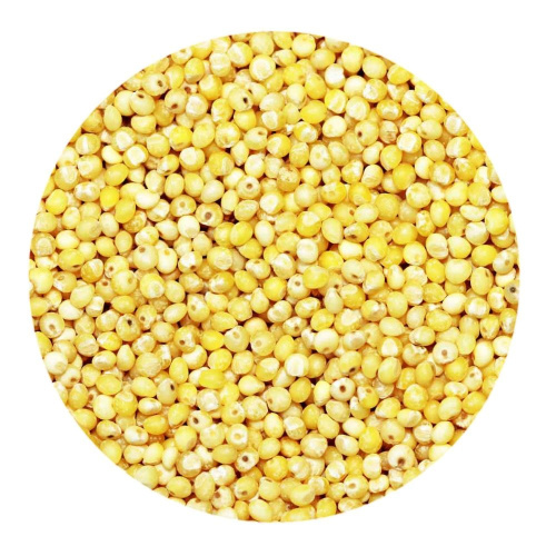 просо желтое