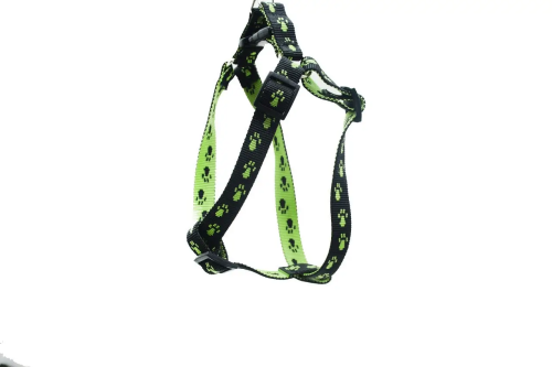 3061979249_w640_h640_shlejka-dlya-sobak_11zon