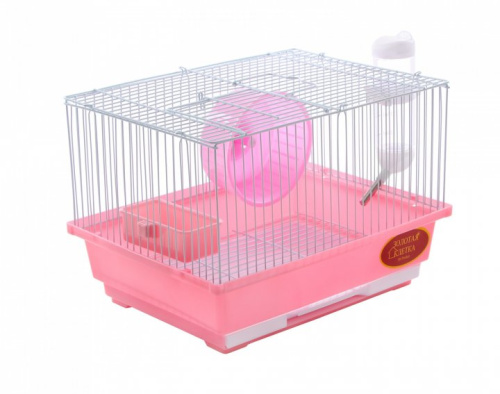 ZHIVOI MIR DAYANG 114