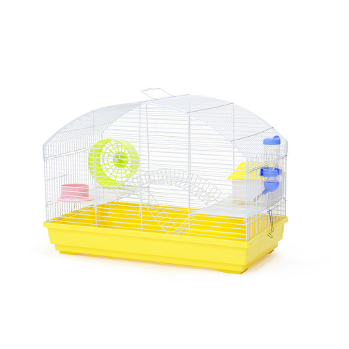 ZHIVOI MIR DAYANG 523