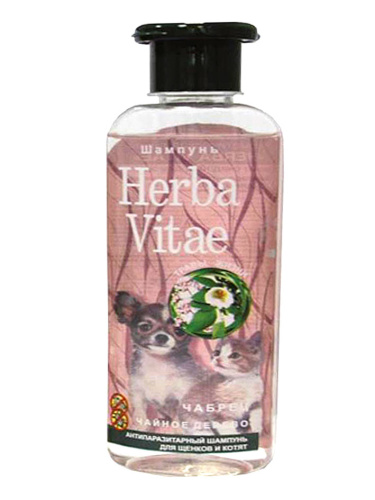 91f7a65382961f6a5412e2d5f5129e2f