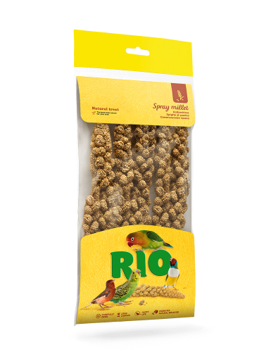 RIO Сенегальское просо в колосьях