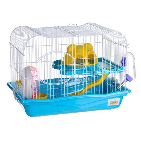 ZHIVOI MIR DAYANG M021