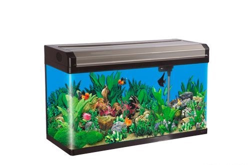 Аквариум ЕА-80 800Lx400Wx538H(mm)  148L
