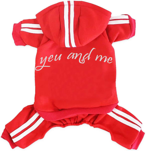 51gzA12xr3L._AC_UL1200_QL65_